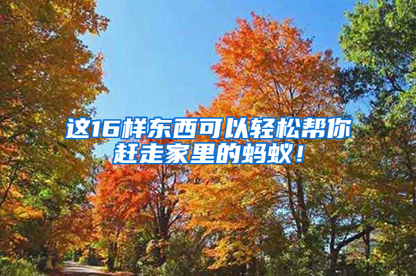 這16樣東西可以輕松幫你趕走家里的螞蟻！
