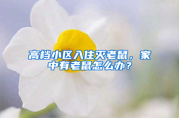 高檔小區(qū)入住滅老鼠，家中有老鼠怎么辦？