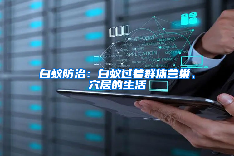 白蟻防治：白蟻過著群體營巢、穴居的生活