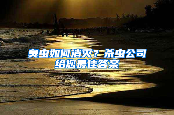 臭蟲如何消滅？殺蟲公司給您最佳答案