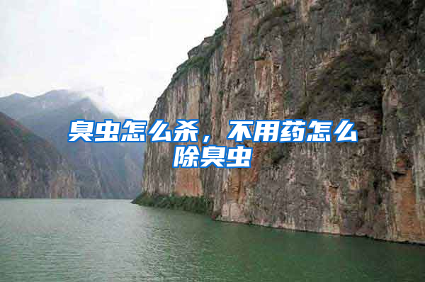 臭蟲(chóng)怎么殺，不用藥怎么除臭蟲(chóng)