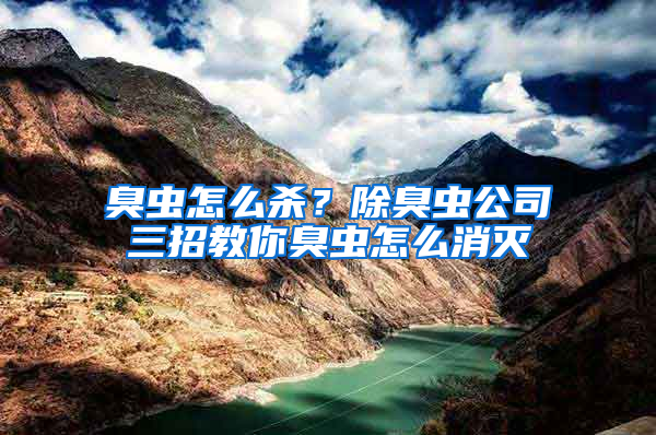 臭蟲怎么殺？除臭蟲公司三招教你臭蟲怎么消滅