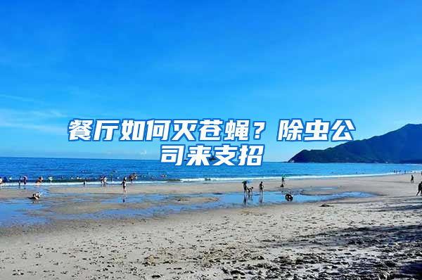 餐廳如何滅蒼蠅？除蟲公司來支招