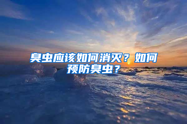 臭蟲(chóng)應(yīng)該如何消滅？如何預(yù)防臭蟲(chóng)？