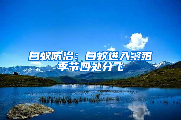 白蟻防治：白蟻進入繁殖季節(jié)四處分飛