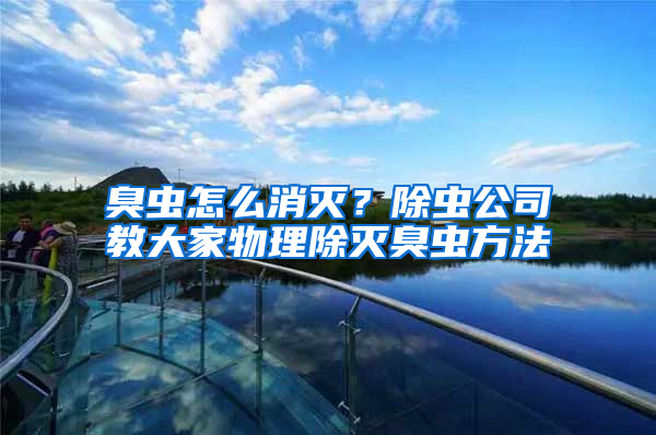 臭蟲怎么消滅？除蟲公司教大家物理除滅臭蟲方法