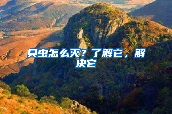 臭蟲怎么滅？了解它，解決它