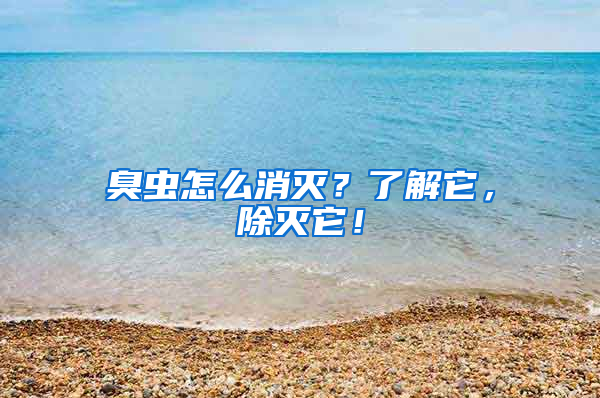 臭蟲怎么消滅？了解它，除滅它！