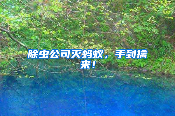 除蟲(chóng)公司滅螞蟻，手到擒來(lái)！