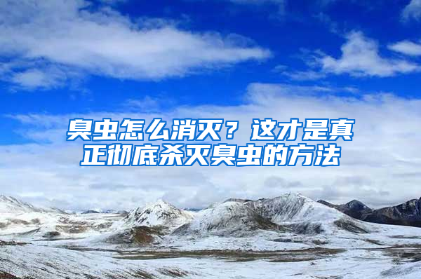 臭蟲怎么消滅？這才是真正徹底殺滅臭蟲的方法