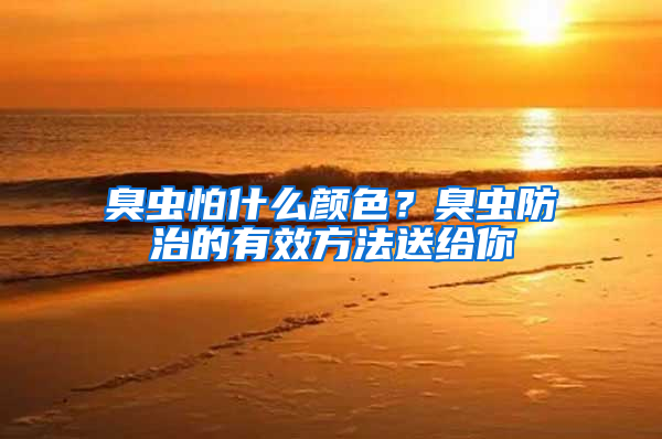 臭蟲怕什么顏色？臭蟲防治的有效方法送給你