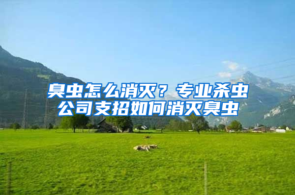 臭蟲怎么消滅？專業(yè)殺蟲公司支招如何消滅臭蟲