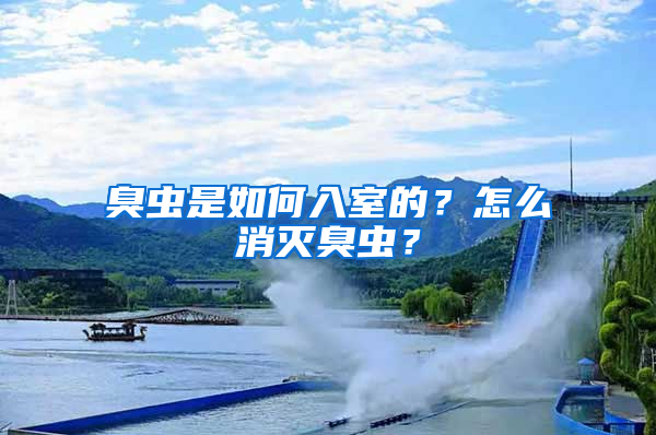 臭蟲是如何入室的？怎么消滅臭蟲？