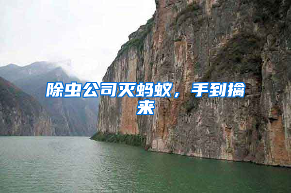 除蟲公司滅螞蟻，手到擒來