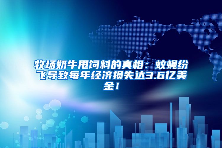 牧場奶牛甩飼料的真相：蚊蠅紛飛導致每年經濟損失達3.6億美金！