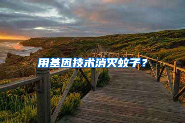 用基因技術(shù)消滅蚊子？