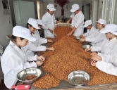 四害消殺：食品、加工行業(yè)
