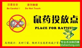 老鼠入室如何消滅？滅鼠公司專(zhuān)業(yè)分析